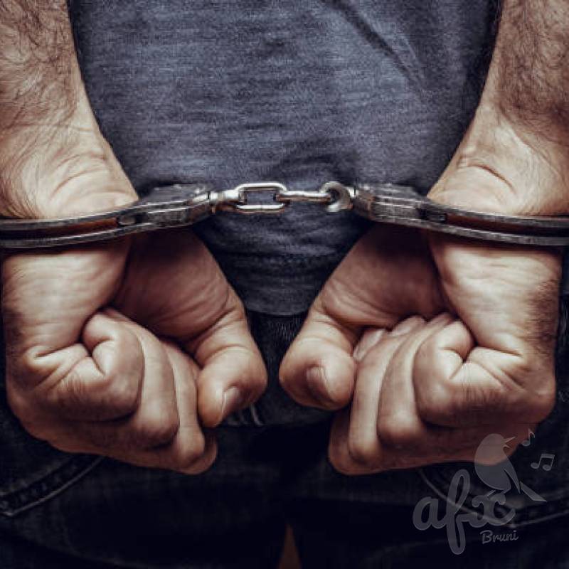 Скачать звуки от наручников