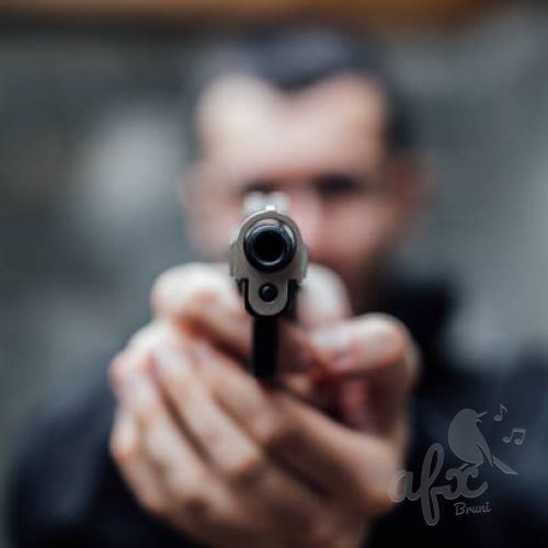 Скачать звуки выстрела без патрона