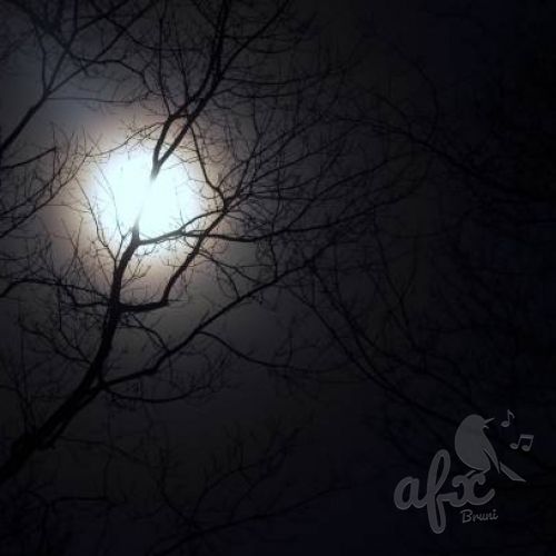 Скачать звуки Страшная фоновая музыка