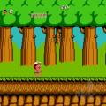 Музыка и звуки из игры Adventure Island