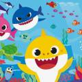 Baby shark (Акулёнок)